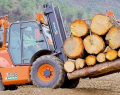 5 Tonluk Arazi Forklift