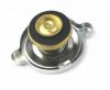 Picture of CAP, COOLANT