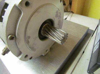 Picture of Forklift Drive Motor 36V