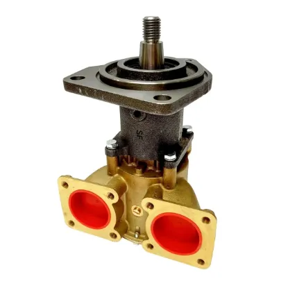 Picture of Raw Water Pump